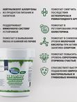 Детокс порошок ZeoDetox 200 г натуральный сорбент цеолит для очищения организма