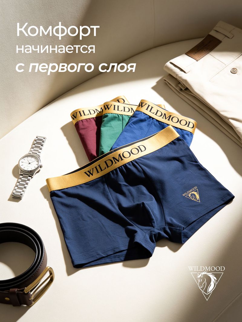 Трусы мужские боксеры комплект бесшовные WildMood, 4XL(50-52), 4шт.
