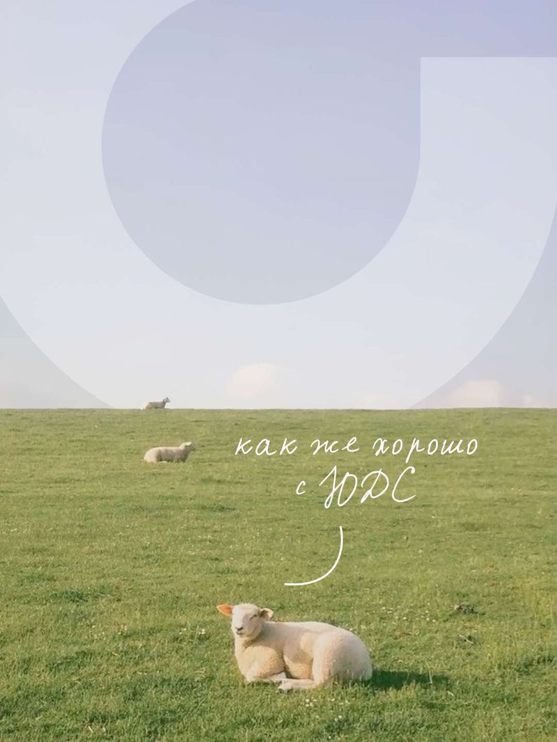 QA Заказ Кружка 500