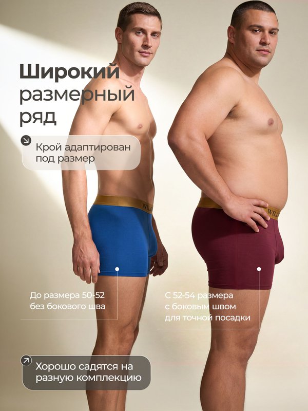 Трусы мужские боксеры комплект бесшовные WildMood, 4XL(50-52), 4шт.